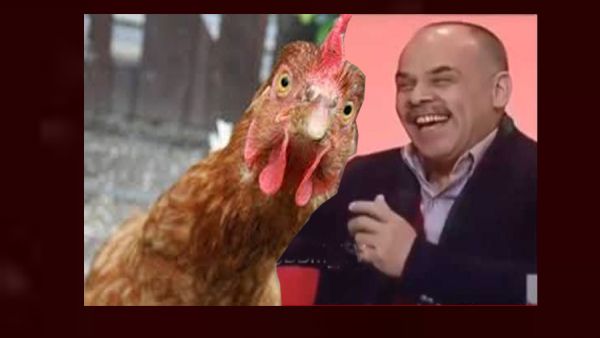 ضحكة الدجاجة