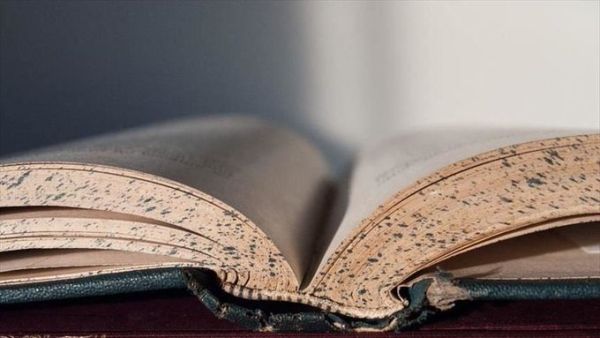 Ottoman manuscripts (Twitter)