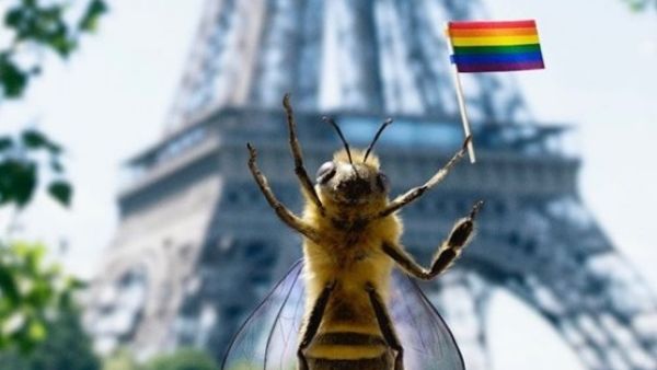 Pride, Paris? (Instagram)