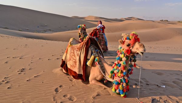 Lut Desert  (Shutterstock)	  Lut Desert  (Shutterstock)