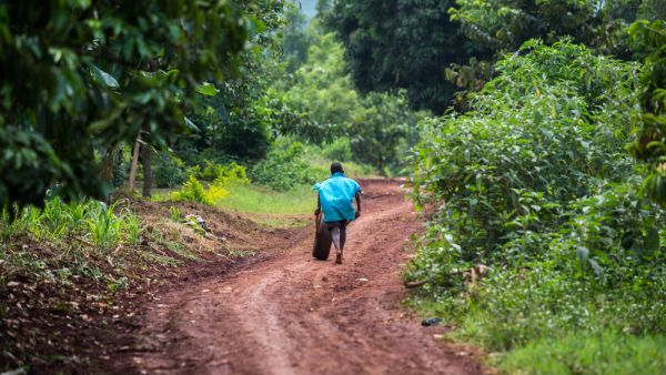A third of tropical plants in Africa are headed for extinction, a study has revealed. (Shutterstock/ File Photo)