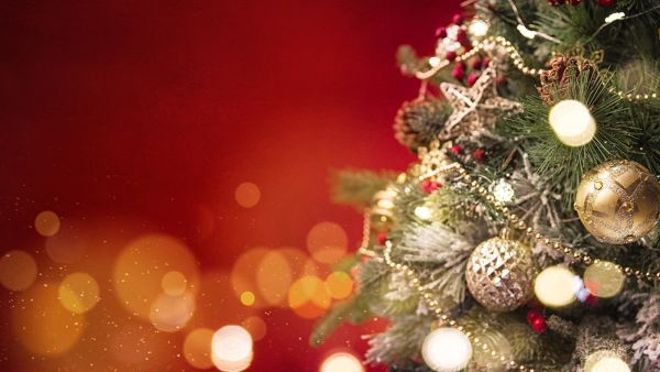 Make merry with the whole family this winter season 