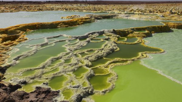 Dallol geothermal area, terraces, potassium salt deposits formed by brine hot springs, Danakil Depression, Ethiopia (Shutterstock)	