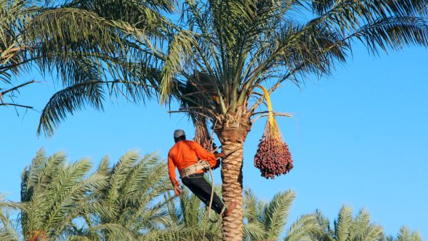 (Shutterstock/ File Photo)