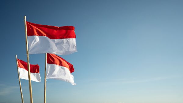 Indonesia flags (Shutterstock)	