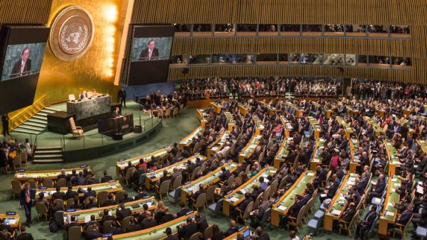  United Nations General Assembly  (Shutterstock)	