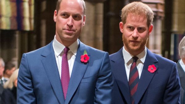 الأمير هاري وويليام