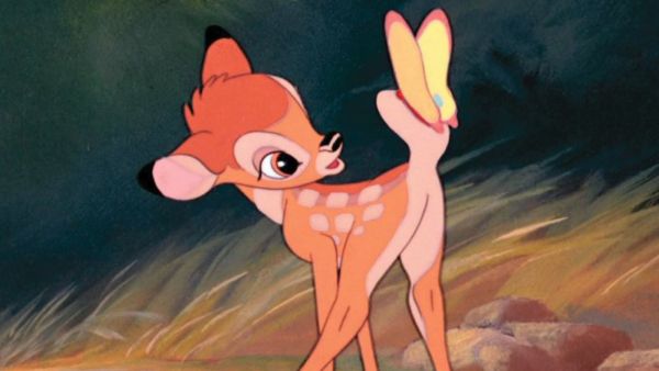 Chris Weitz, Paul Weitz and Andrew Miano are producing the project.