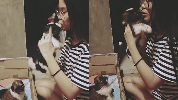 Karylle Punzalan, 18, from from Bataan, Philippines, before going limp in their owner's hands, as if the kiss has immediately cast a spell on them. (Video Screenshots)