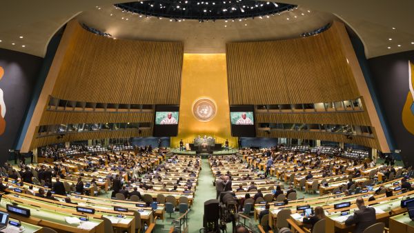 United Nations General Assembly (Shutterstock)	