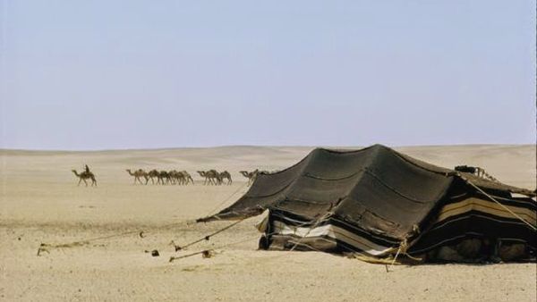 أعراب