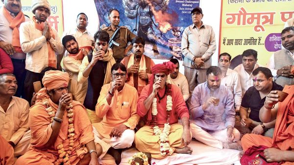 The gathering was for a ‘gaumutra party’ in Delhi organised by the Akhil Bharat Hindu Mahasabha  (Twitter)