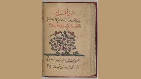 تكشف الوثائق التاريخية المهمة المتاحة للاطلاع عبر مكتبة قطر الرقمية تفاصيل معركة يجهلها الكثيرون ضد جحافل الجراد دارت رحاها في منتصف القرن العشرين   