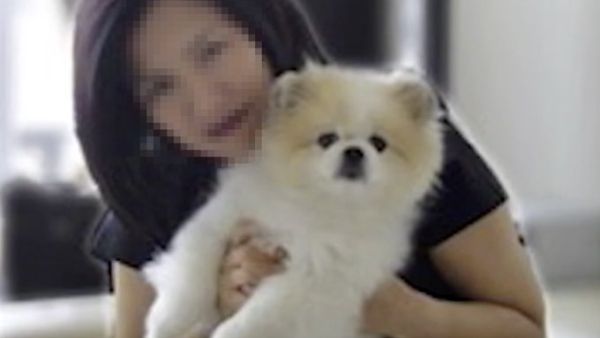 Hong Kong Pomeranian that tested positive for COVID-19 dies after returning home (Twitter)