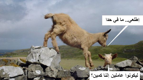 يا خوفي.. ههههه