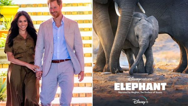 ميغان ماركل والأميرهاري