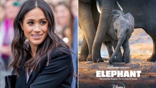 ميغان ماركل