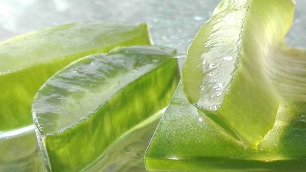 اصنعيه بنفسك: جل الصبار لعلاج مشاكل البشرة