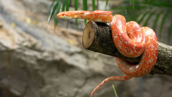 (Shutterstock/ File Photo)