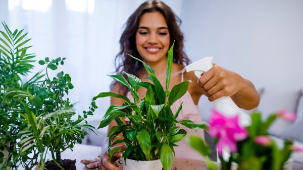 الريحان عشب متعدد الاستخدامات، إذ يمكن استخدامه أيضا علاجا للدغات البعوض.