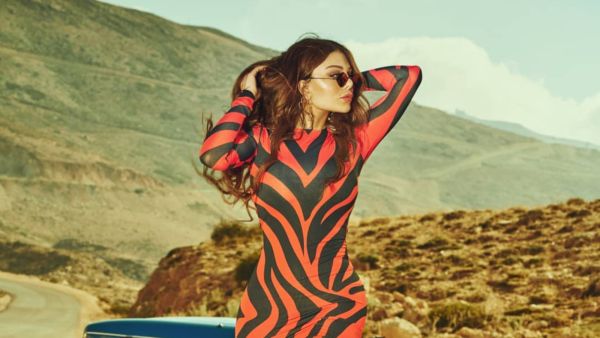 Did Haifa Wehbe Cheat on Ex Husband Ahmed Abo Hashima With This Hunky Actor?