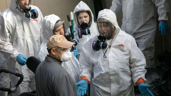 مصطلح مناعة القطيع مأخوذ من علم الأوبئة البيطرية