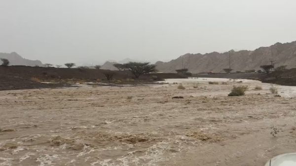 سيل في الامارات