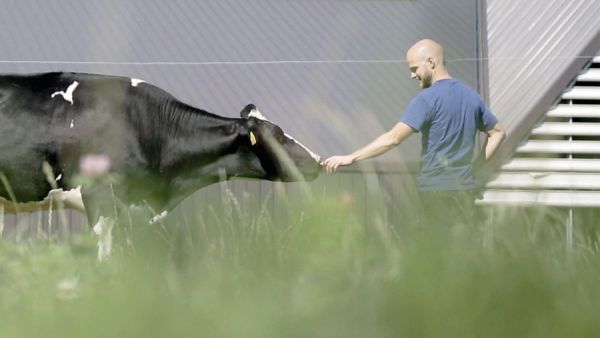 تعالي يا حلوة