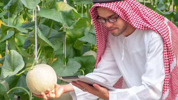 تعرّفوا على أبرز الحلول والاقتراحات لمستقبل أكثر استدامة