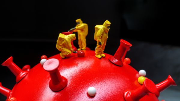 (Shutterstock/ File Photo)