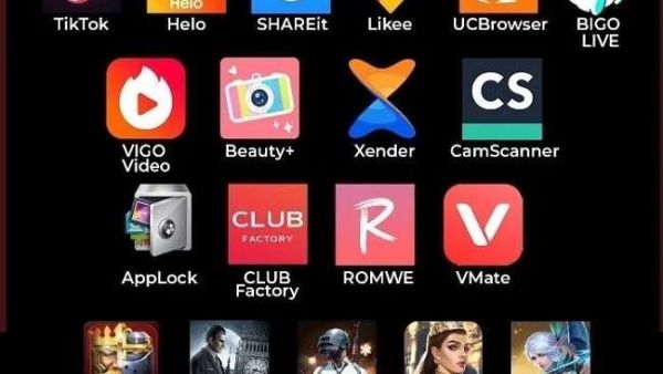 Why Did India's 'Digital Airstrike' on Chinese Apps Include TikTok but Not PUBG?