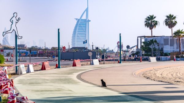Middle East Businesses Outline Recovery Plans Following Reopenings