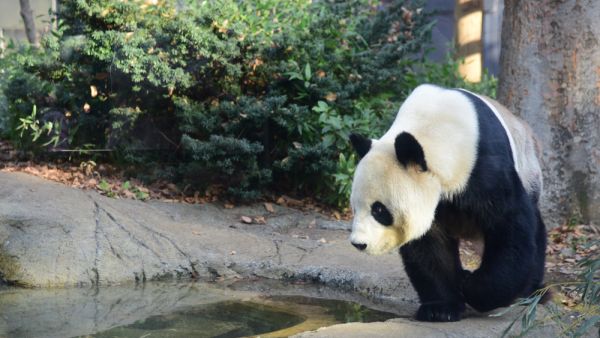 (Shutterstock/ File Photo)