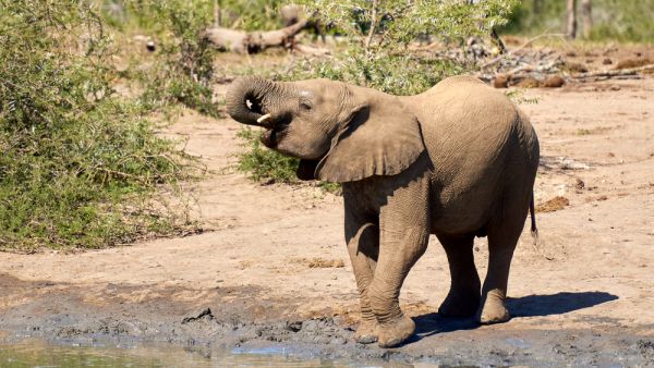 (Shutterstock/ File Photo)