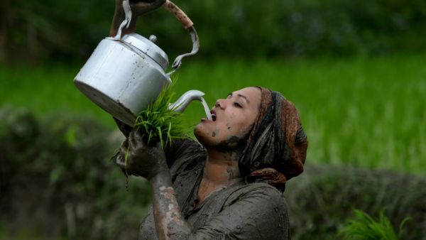 A woman drinks rice wine while planting rice during "National Paddy Day", which marks the start of the annual rice planting season, in Tokha village on the outskirts of Kathmandu on June 29, 2020. PRAKASH MATHEMA / AFP