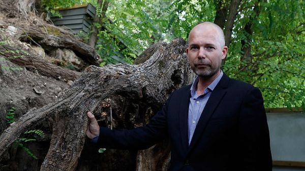 Mr van der Veen said most of the tangle of roots (pictured) is still there, a stone's throw from the inn. (AFP)
