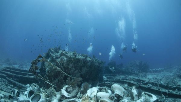 (Anna segeren/Shutterstock)