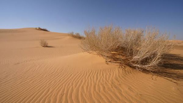 تعبيرية