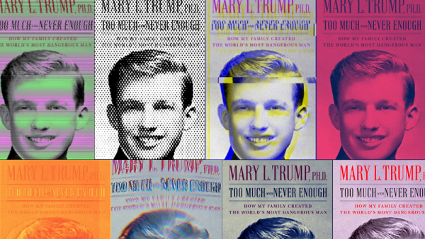 'Flirted With the Niece and Paid for High SAT Score': 8 of the Darkest 'Secrets' Found in Mary Trump's Book
