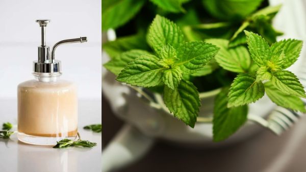 اصنعيه بنفسك: غسول الجسم بالنعناع المرطب