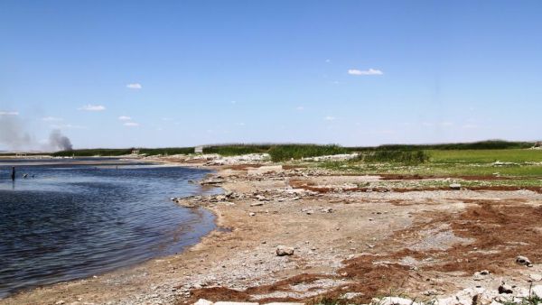  انخفاض قياسي في منسوب نهر الفرات يصل إلى حد الجفاف