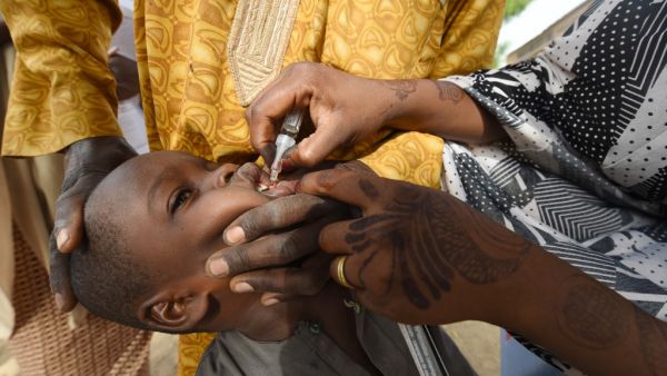 The World Health Organization (WHO) is to certify the African continent "free of wild poliovirus" on August 25, 2020, four years after the last cases appeared in northeastern Nigeria, a region devastated by the conflict against Boko Haram. PIUS UTOMI EKPEI / AFP