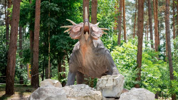 Dinosaur called Centrosaurus  (Shutterstock)	