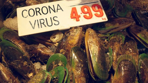 (Shutterstock/ File Photo)