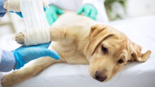 (Shutterstock/ File Photo)