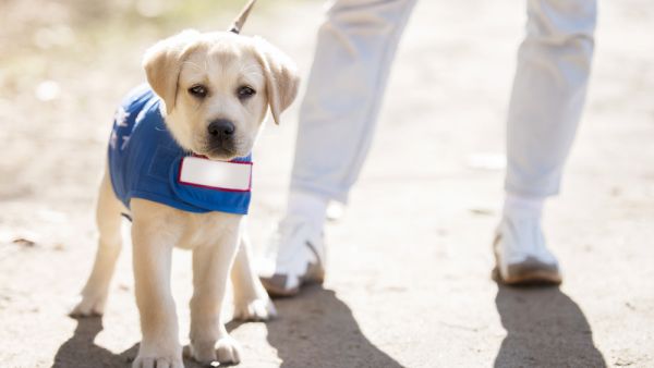 (Shutterstock) (Shutterstock)