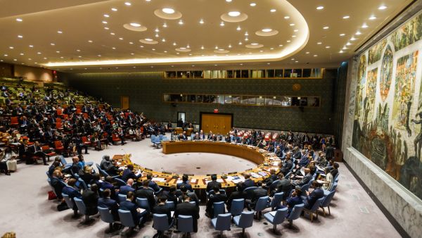 UN Security Council   (Shutterstock)	