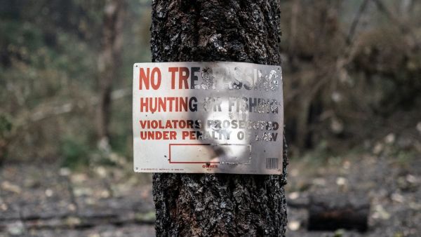 Multiple wildfires grew by hundreds of thousands of acres this week forcing evacuations and road closures. Nathan Howard/Getty Images/AFP