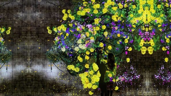 Japan’s TeamLab looks to explore the world “beyond borders,” merging both arts and technology to create their Borderless exhibitions around the world. (Via TeamLab/Supplied) Japan’s TeamLab looks to explore the world “beyond borders,” merging both arts and technology to create their Borderless exhibitions around the world. (Via TeamLab/Supplied)