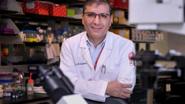 WCM-Q Research Reveals Underlying Mechanisms of Aggressive Breast Cancers
